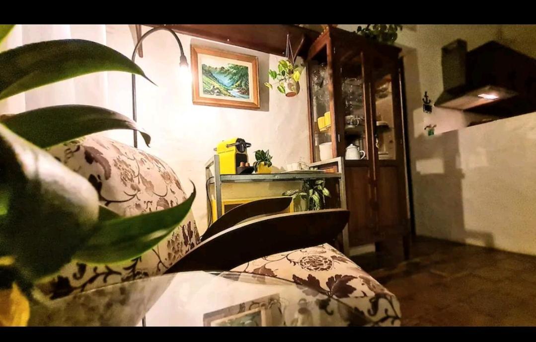 Villa Quinta Do Mocambique Florianópolis Esterno foto